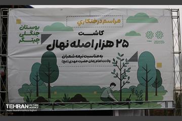 آغاز کاشت ۲۵ هزار اصله نهال غیرمثمر در بوستان چیتگر 17
