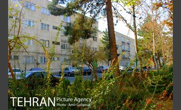 شهرک لاله 22