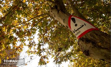 گذرگاه های پاییزی پایتخت - پارک ملت  33