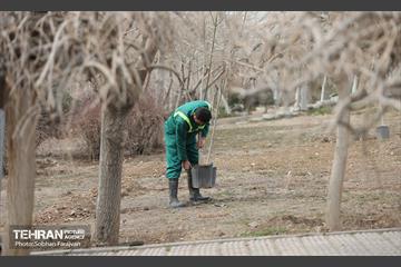 آئین غرس درخت به پاسداشت شهدای منطقه ۵ 28