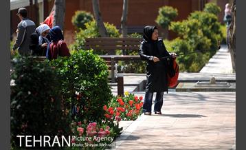 رویش گل های لاله در باغ ایرانی 22