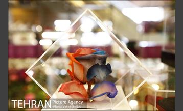 افتتاح هفدهمین نمایشگاه بین المللی گل و گیاه تهران  39