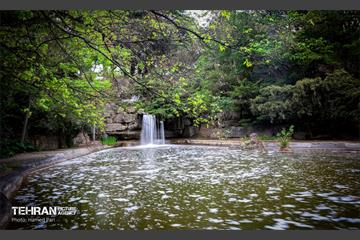 باغ گیاه‌شناسی 40