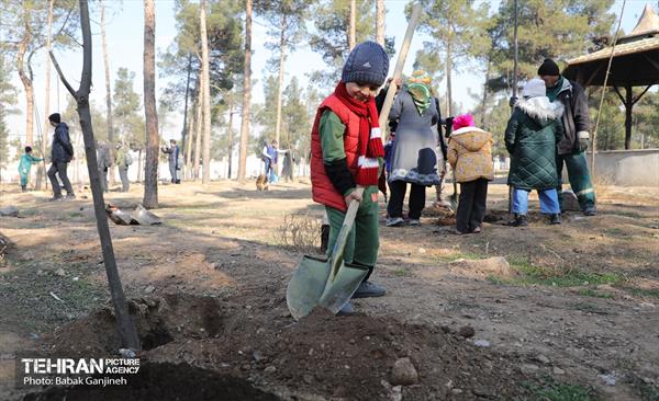 آیین یلدای مهربانی و کاشت نهال در بوستان سرخه حصار 32