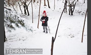 روز برفی تهران در بوستان ملت 26