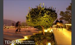 تور عکاسی طبیعت و شهر 19