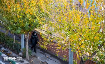 سمفونی رنگ های پاییزی 31