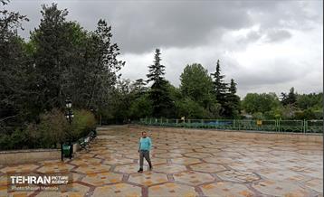 بارش باران بهاری در تهران - 2 36