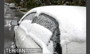 بارش نخستین برف پاییزی در تهران 15