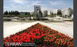 لاله آرایی در منطقه 20