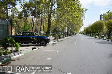 روز طبیعت متفاوت شهر تهران-1 54