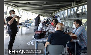 عصرانه کارتون پل طبیعت 24