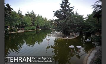 باغ پرندگان تهران 52