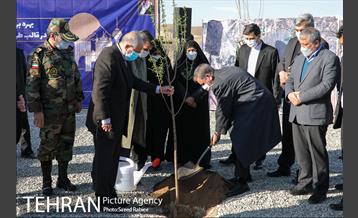 بازدید و افتتاح پروژه جنگل کاری 1000هکتاری در بوستان جنگلی تلو 14