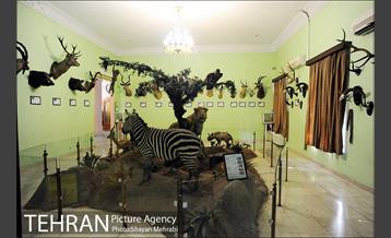 موزه حیات وحش هفت چنار 22