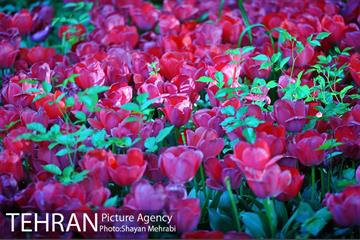 باغ ایرانی (بوستان مهندس مختاری) 1