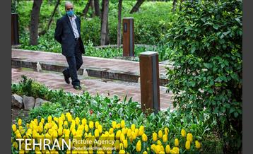 لاله های باغ ایرانی 4