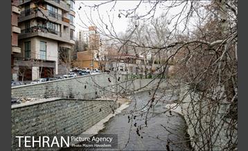 محله تجریش 8