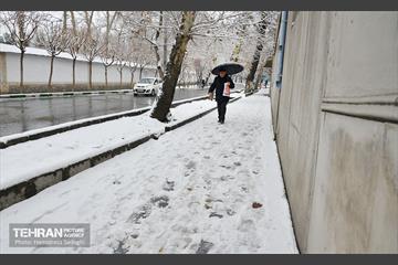 تهران برفی  9