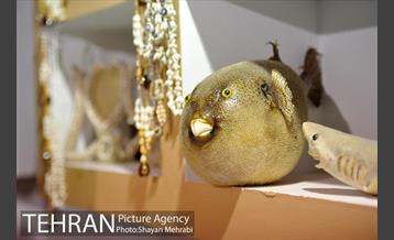 جشنواره‌ شب‌های تابستان برج میلاد تهران 9