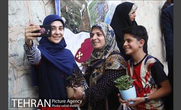 جشنواره شاتوت و محصولات محلی دهستان سولقان 16