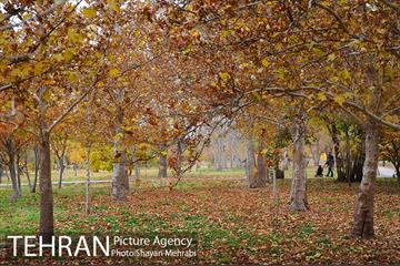 باغ گیاه‌شناسی ملی ایران 24