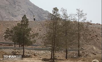 اینجا کارگاهه؛ پروژه بام ری 23