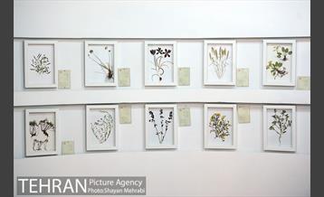 موزه گیاه شناسی دارآباد 7