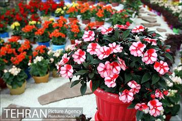 چهاردهمین نمایشگاه بین المللی گل و گیاه تهران 4