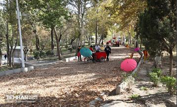 گذر پاییزی بوستان بعثت 7