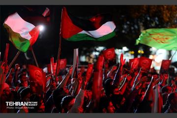 از فلسطین تا آزادی 18