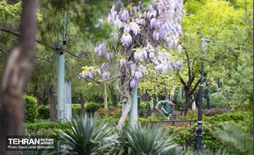 تیتر هوای بهاری تهران 25