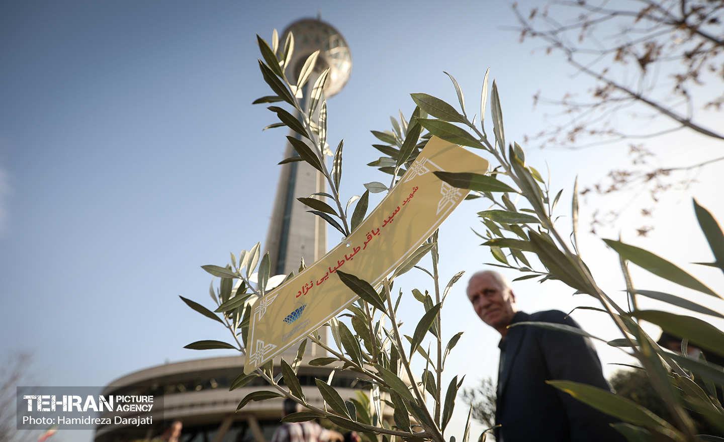 کاشت نهال به یاد شهدا در برج میلاد 13