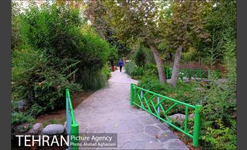 بوستان سهند 6