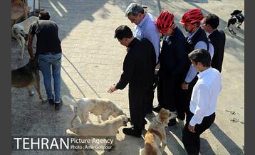 بازدید پیروز حناچی شهردار تهران از دهکده مهربانی 5