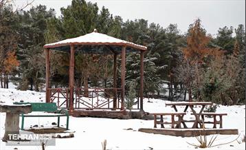 روز برفی در بوستان جنگلی سرخه‌حصار 9