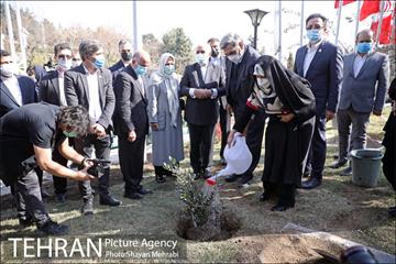 آیین کاشت نهال دوستی با حضور همسران دیپلمات مقیم ایران 22