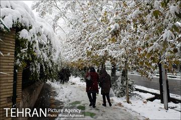بارش اولین برف پاییزی در تهران 9
