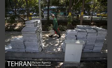 بلوار کشاورز 12