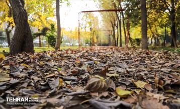 سمفونی رنگ های پاییزی - بوستان اندیشه 8