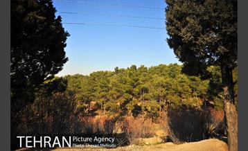 پارک جنگلی سرخه حصار 2