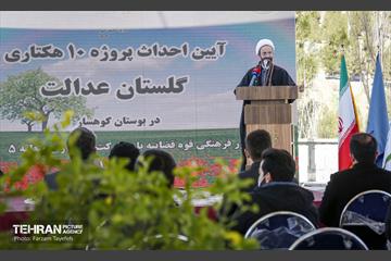 آیین غرس درخت در کوهسار با حضور معاون فرهنگی قوه قضاییه 2
