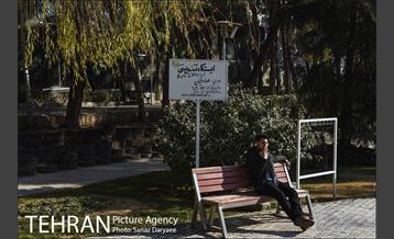 پارک ساعی 15