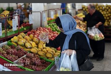 تور بازدید از میادین و بازارهای میوه و تره‌بار شهرداری تهران 37