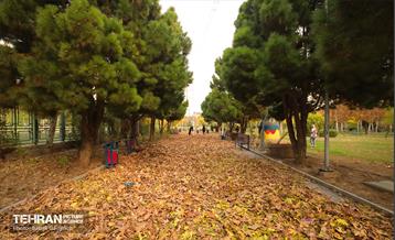 گذرگاه های پاییزی پایتخت - منطقه 13