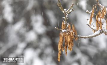 روایت مه‌و‌برف در بوستان سنگی تهران  29