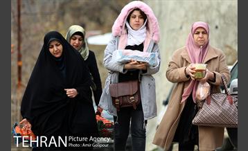 نخستین جشنواره خرمالو در روستای کشار سفلی 38