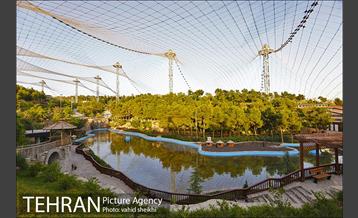 شبگردی اصحاب رسانه در منطقه چهار شهرداری تهران  8