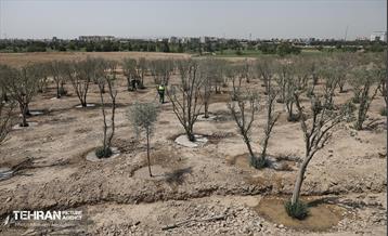 اینجا کارگاهه؛ پروژه بام ری 55