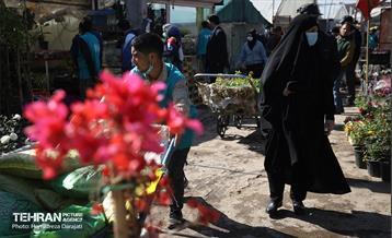 بازار گل محلاتی  38